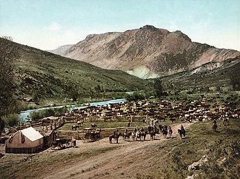 Cattle roundup, 1898