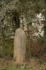 Der lange Stein (Freinsheim)