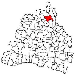 Location in Dolj County