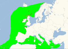 Mapa występowania