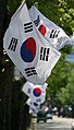 Bir dizi Güney Kore bayrağı.