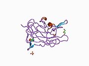 1d7p: Crystal structure of the c2 domain of human factor viii at 1.5 a resolution at 1.5 A