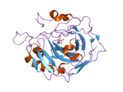 1yo1: Proton Transfer from His200 in Human Carbonic Anhydrase II