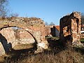 Fragmente der Burgruine