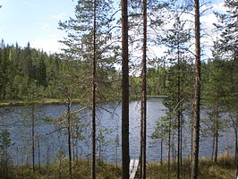 Soimalampi-meer, Nationaal park Leivonmäki