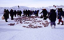 Dans la lumière lilas d'une plaine enneigée sur fond de montagnes également couvertes de neige, une trentaine de silhouettes emmitouflées, chapeautées and bottées font cercle autour de morceaux de viande congelés éparpillés à même le sol.