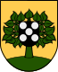 Coat of arms of Linden