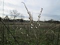 Hockenheim, Januar 2018