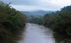 Bhadra River