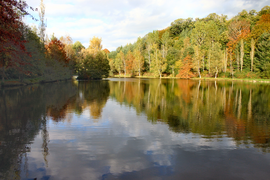 The Lake of Carcenac-Peyralès