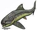 Dinichthys