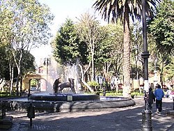 Kojoten-Brunnen im Jardín Centenario