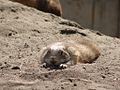 Tierpark Mai 08