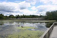 The Wege Nature Trail moeraslandschap