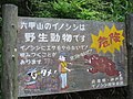 Wild Boar warning sign