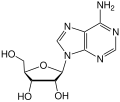 Adenosin