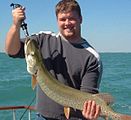 Egy szép muskellunge, melyet a Ontarióban fogtak