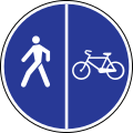 Cycle and pedestrian path