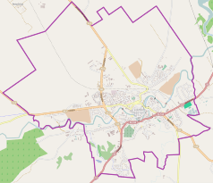 Mapa konturowa Lidzbarka Warmińskiego, w centrum znajduje się punkt z opisem „Lidzbark Warmiński”