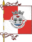 Vlag van Olivais