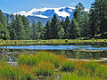 Breitmattsee (Moosalp) mit Blick Richtung Monte Leone