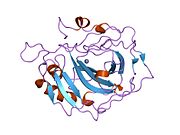 1dca: STRUCTURE OF AN ENGINEERED METAL BINDING SITE IN HUMAN CARBONIC ANHYDRASE II REVEALS THE ARCHITECTURE OF A REGULATORY CYSTEINE SWITCH