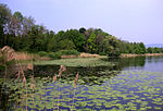 Burgäschisee (prähistorische Seeufersiedlung)