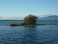 Die kleine, unbenannte Insel nördlich der Vogelinsel