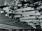 Bruchfläche einer faserverstärkten Keramik, bestehend aus SiC-Fasern und SiC-Matrix.