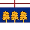 Flag of Giurgiulești