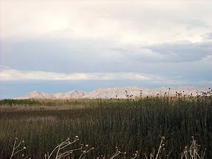 Fish Springs & northern hills of range