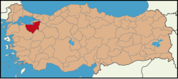 Bursa