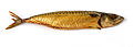 Smoked Atlantic mackerel