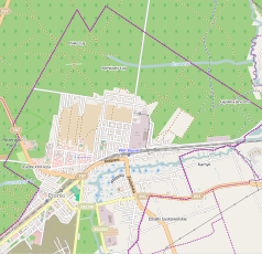 Mapa konturowa Pionek, blisko centrum na dole znajduje się punkt z opisem „Zagożdżon”