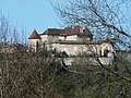 Château du Puy-Saint-Astier