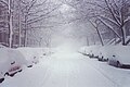 snow on a street in Park Slope, Brooklyn