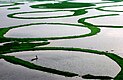 Im aus der Vogelperspektive betrachteten See befinden sich ringförmige, mit Gras bewachsene Inseln. Im vordersten Ring ist ein kleines Boot, in dem ein Fischer gerade ein Netz ins Wasser geworfen hat.