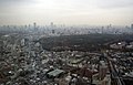 Yoyogi Park seen from the Park Hyatt