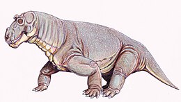 Rajz egy hím Estemmenosuchus uralensis-ról