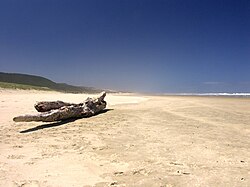 Mitimiti Beach