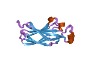 1tey: NMR structure of human histone chaperone, ASF1A