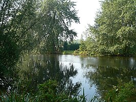 Poldervaart nabij de volkstuinen van Vijfsluizen.