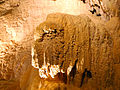Bison in den Grotten von Vallorbe, aufgenommen 2009 mit Nikon D40x.