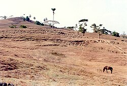 Landscape near Camplong in the dry season