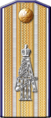 shoulder board 1908