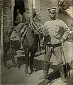 Cavalry of the Qing New Army