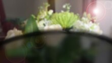 Bunch of flowers (close-up), but everything blurred and a dark semi-circle obscuring half the image.