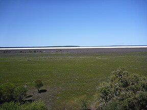 Lake Muir (Oktober 2010)