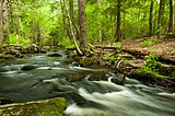 Mad River, Wolcott, CT