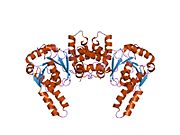 1f14: L-3-HYDROXYACYL-COA DEHYDROGENASE (APO)